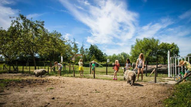 Vakantiewoning - Kon. Emmaweg 26 | Vrouwenpolder 'Uitspanning Oranjezon' Εξωτερικό φωτογραφία